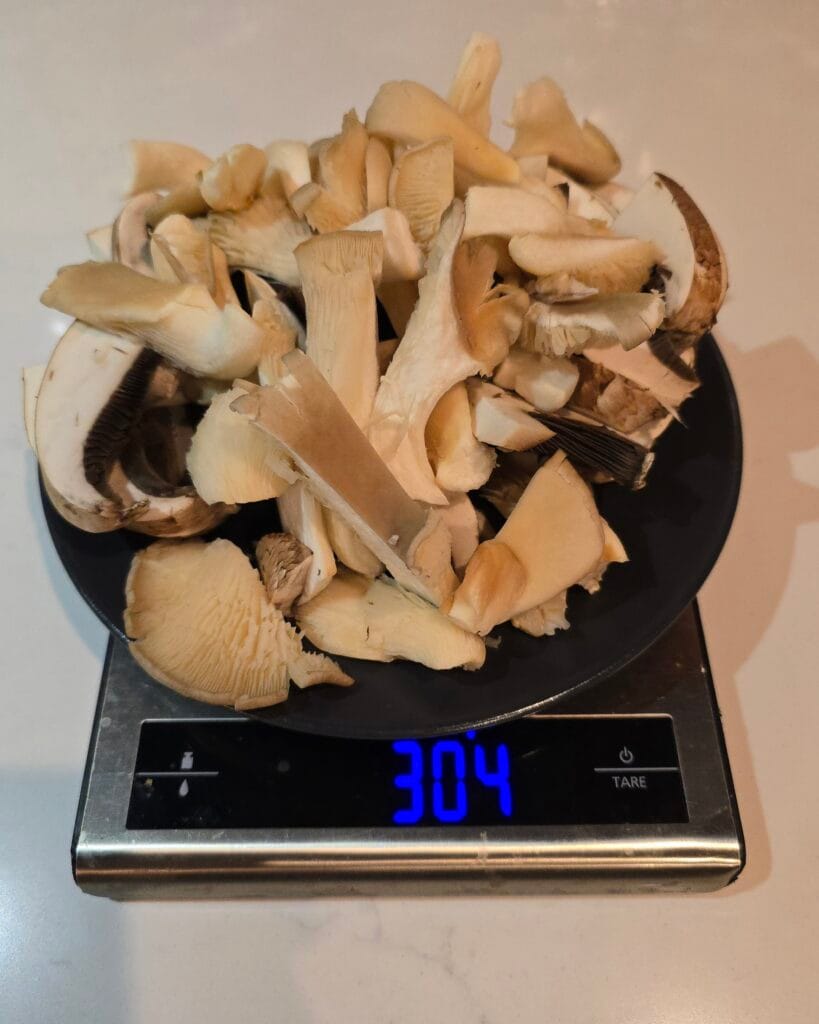 oesterzwam en portobello op de weegschaal